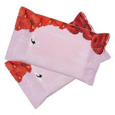 LENÇO UMEDECIDO - HIBISCO+FRAMBOESA - Imagem 2